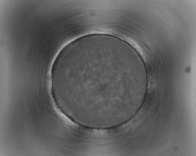 X0000097911080200803211459