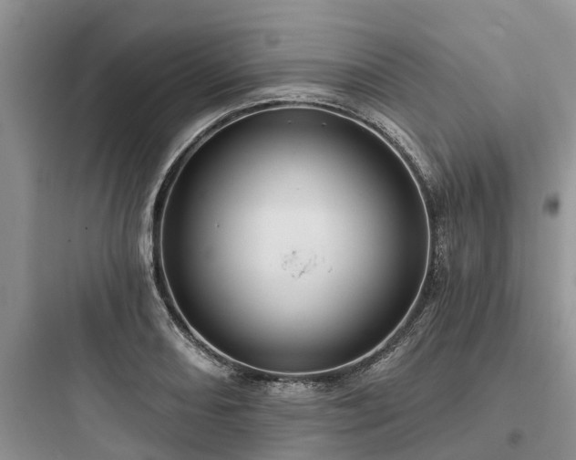 X0000097911082200803211459