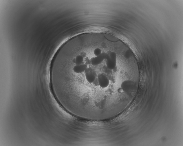 X0000097911083200803211459