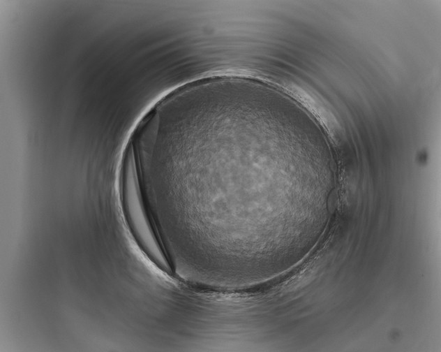 X0000097911084200803211459