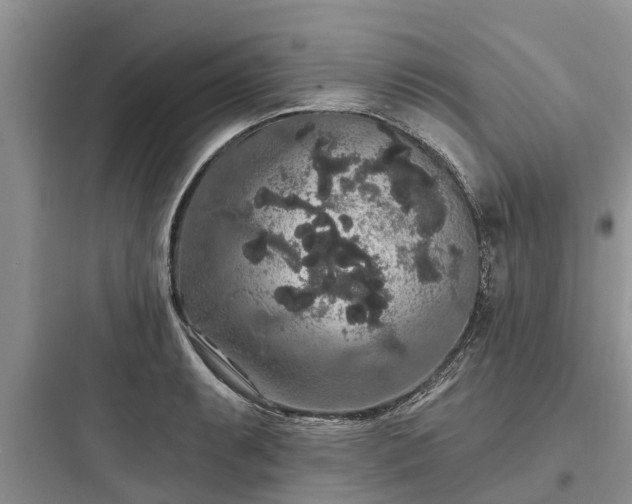 X0000097911087200803211459