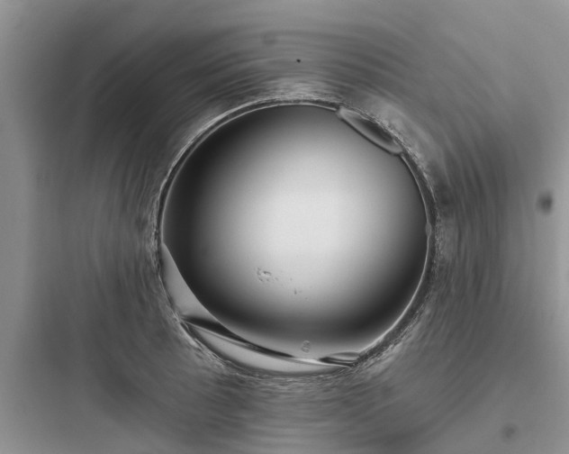 X0000097911089200803211459