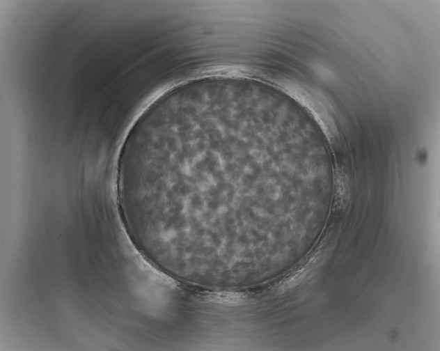 X0000097911090200803211459