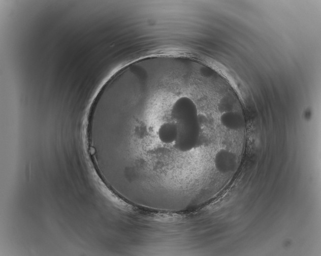 X0000097911091200803211459