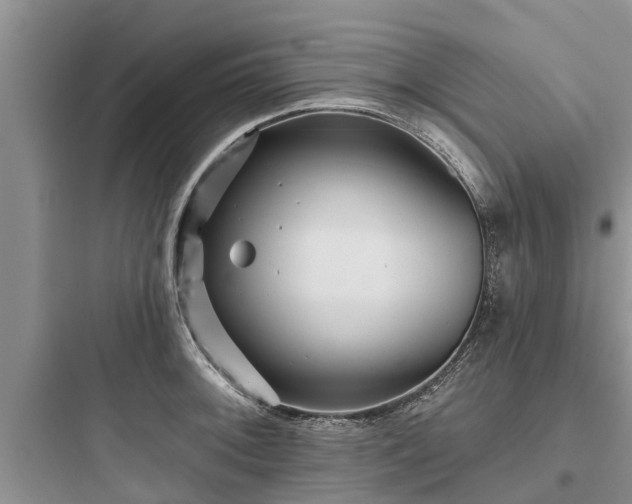 X0000097911092200803211459