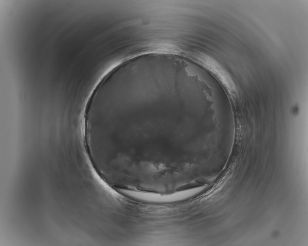 X0000097911095200803211459