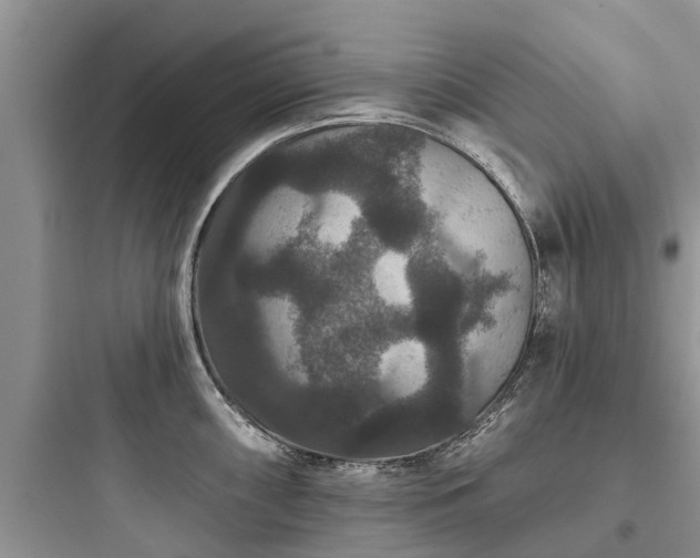 X0000097911098200803211459