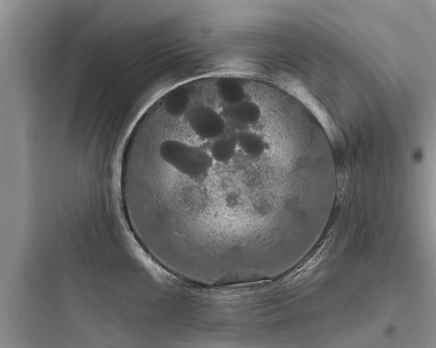 X0000097911099200803211459