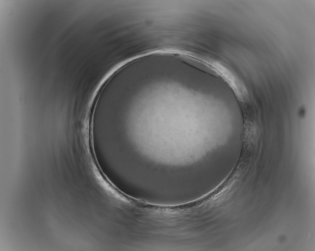 X0000097911100200803211459