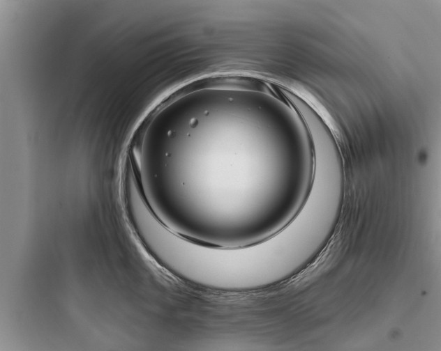 X0000097911101200803211459