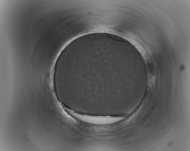 X0000097911102200803211459