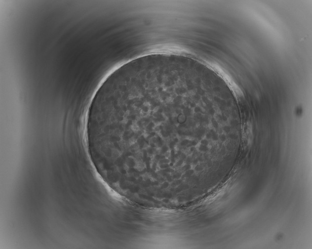 X0000097911103200803211459