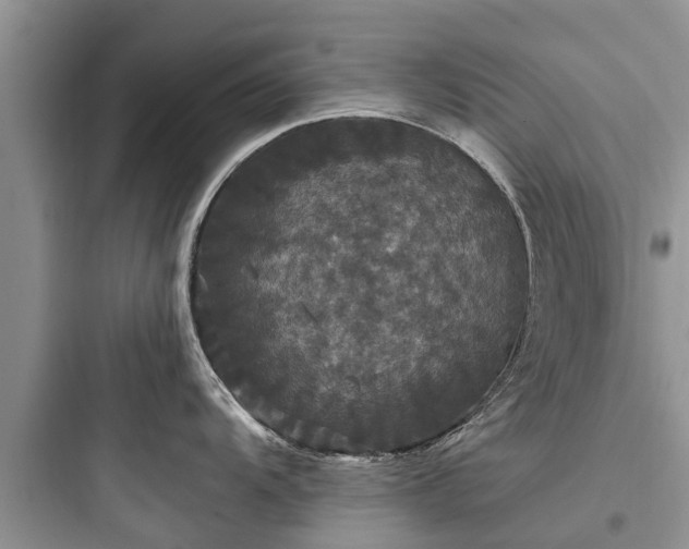 X0000097911104200803211459