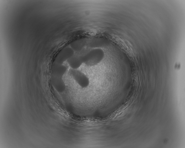 X0000097911105200803211458