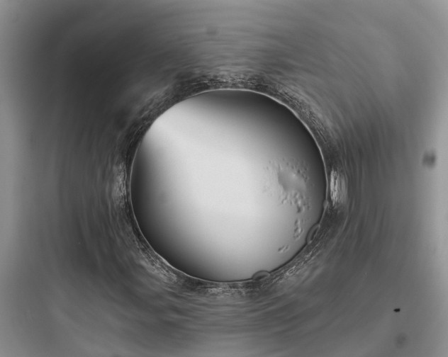 X0000097911107200803211458