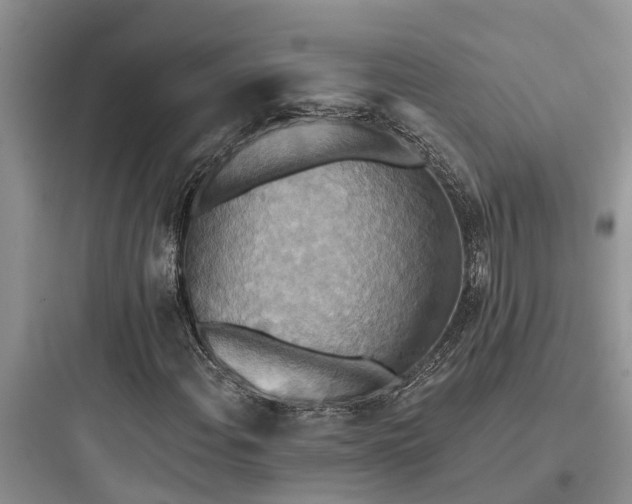 X0000097911108200803211458