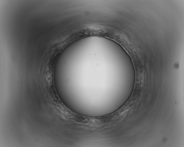 X0000097911109200803211458