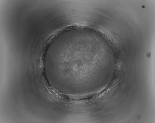 X0000097911110200803211458