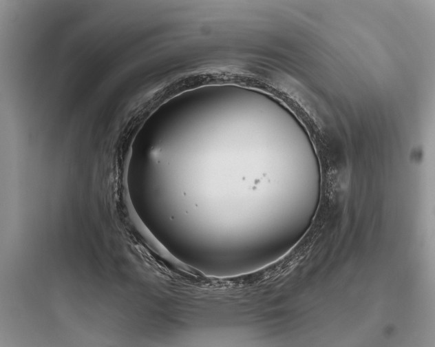 X0000097911111200803211458