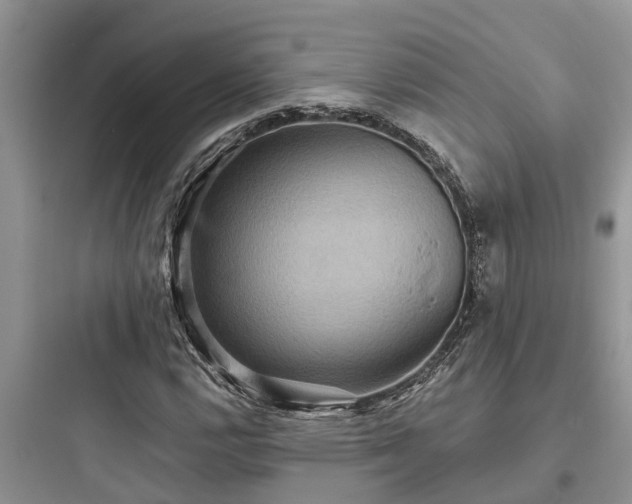 X0000097911112200803211458