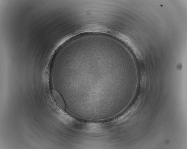 X0000097911114200803211458