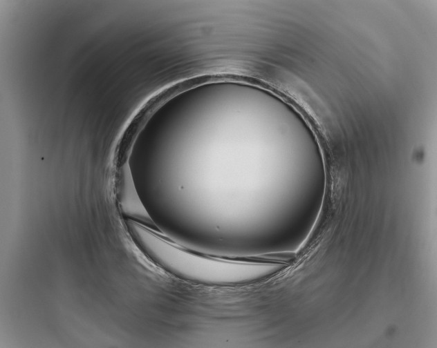 X0000097911116200803211458