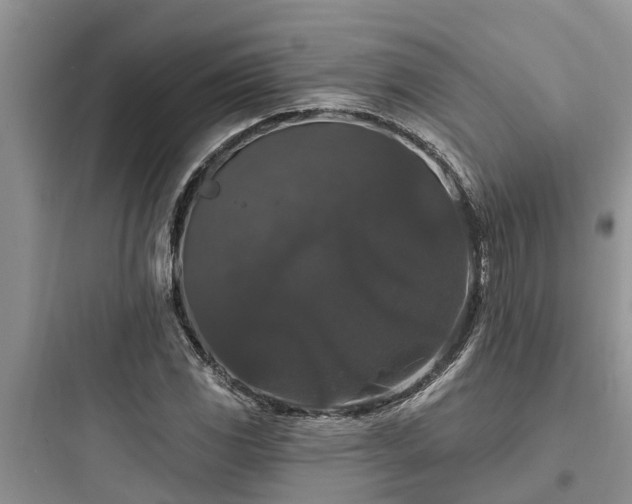 X0000097911117200803211458