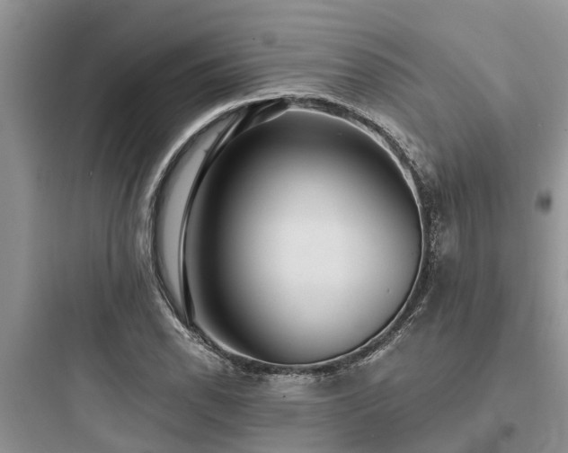 X0000097911118200803211458