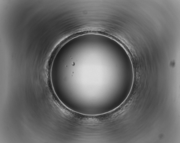 X0000097911119200803211458