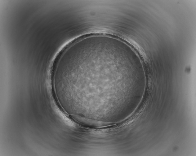 X0000097911120200803211458