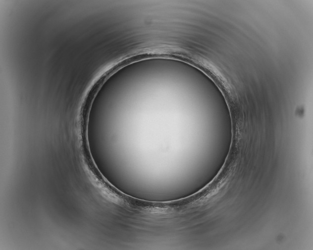 X0000097911122200803211458