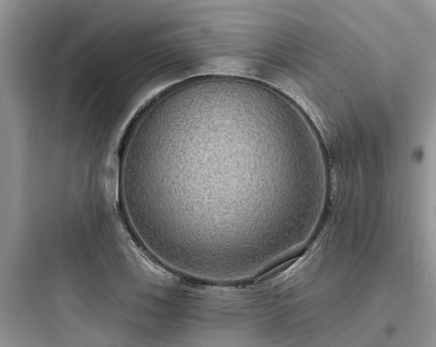 X0000097911123200803211458