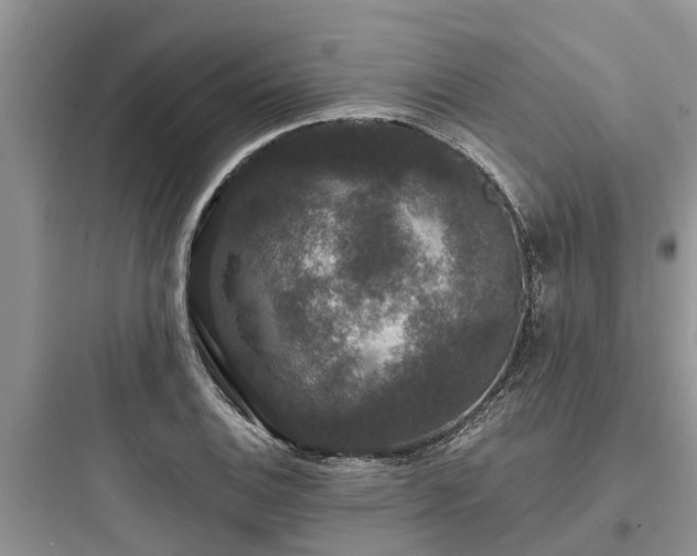 X0000097911124200803211458