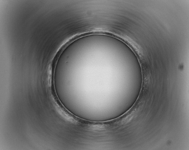 X0000097911126200803211458