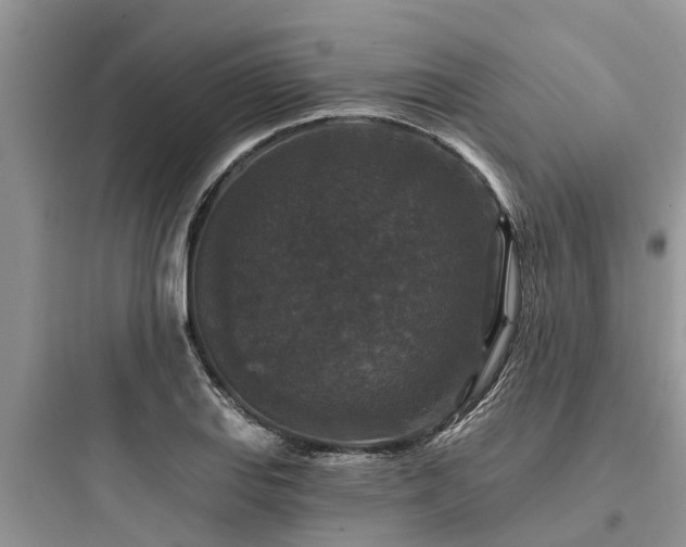 X0000097911127200803211458