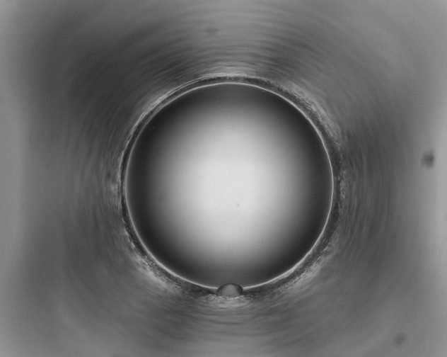 X0000097911129200803211458