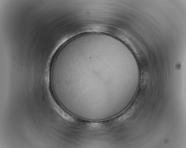 X0000097911130200803211458