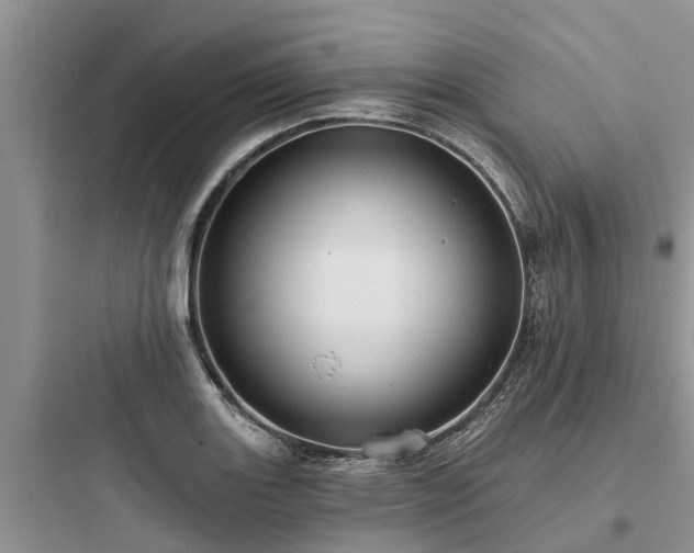 X0000097911131200803211458