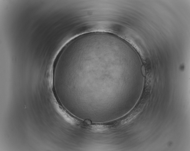 X0000097911132200803211458