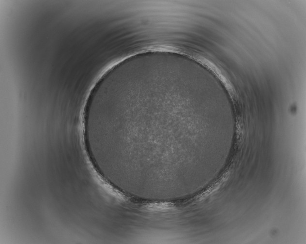 X0000097911133200803211458