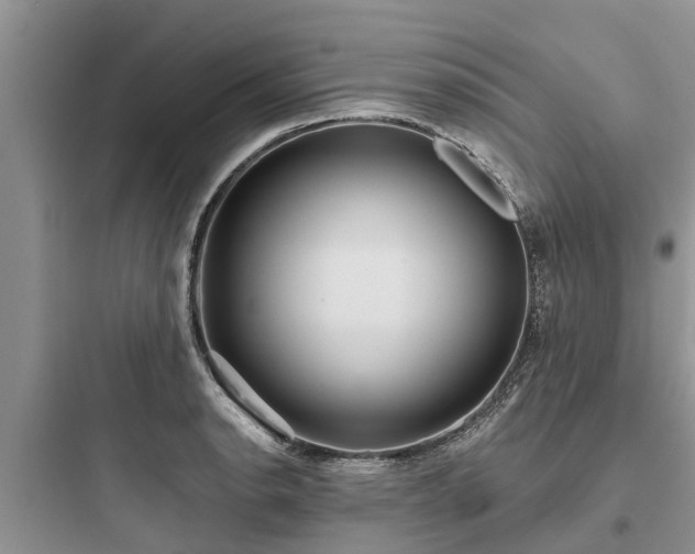 X0000097911134200803211458