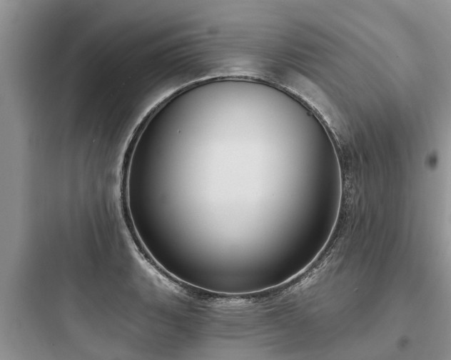 X0000097911135200803211458