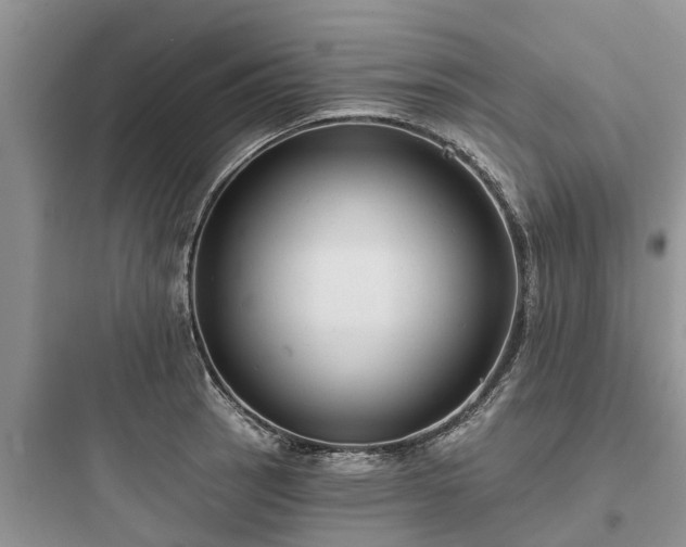 X0000097911137200803211458