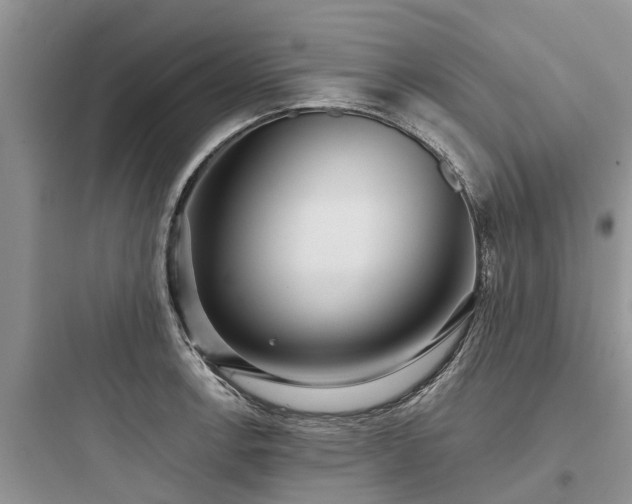 X0000097911138200803211458