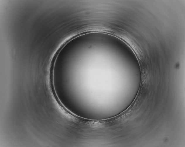 X0000097911139200803211458