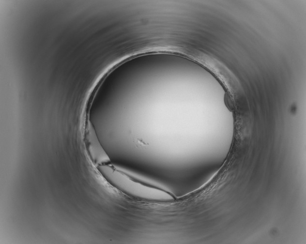 X0000097911140200803211458