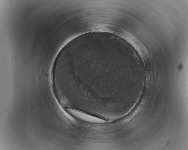 X0000097911141200803211458