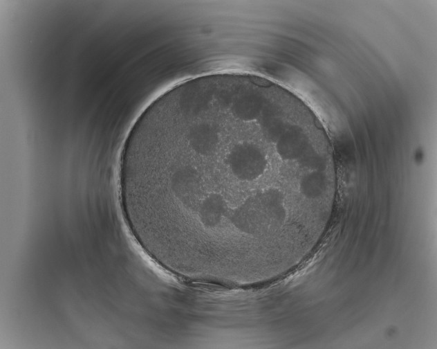 X0000097911142200803211458