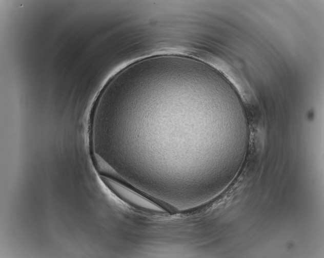 X0000097911143200803211459