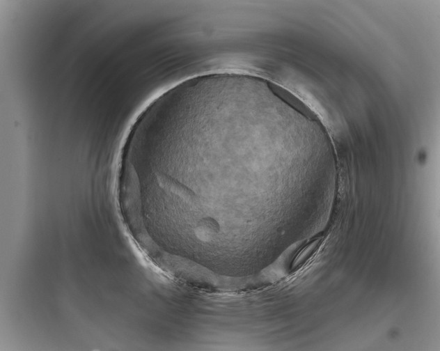 X0000097911144200803211459